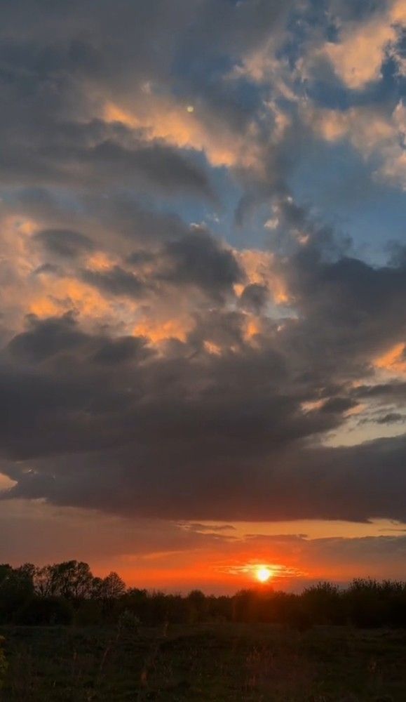 Photograph by Алла Узкая