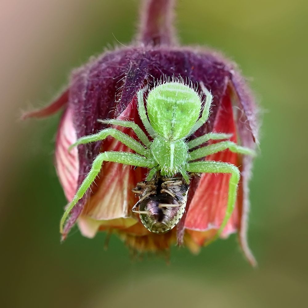 Photograph by Галина Горькавая