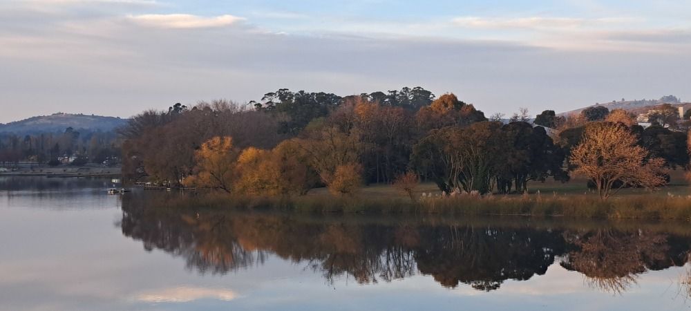 Фотография автора gustavo pecelis