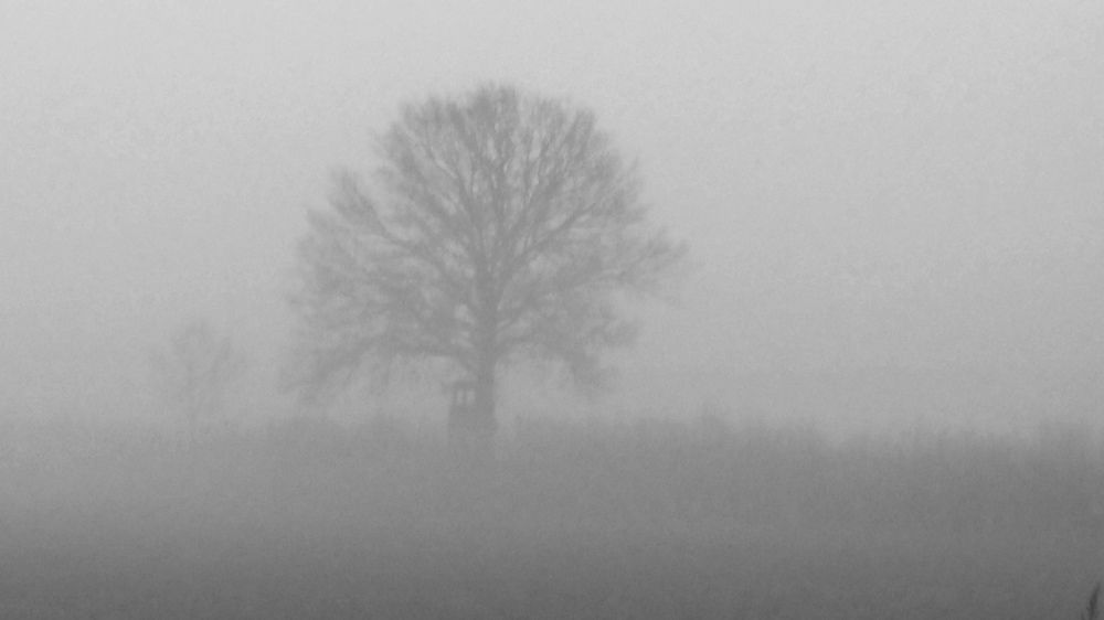 Photograph by Михаил Жарский