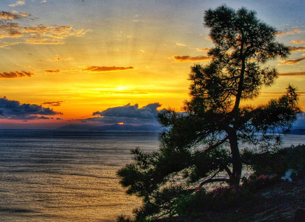 Photograph by Василиса Прекрасная