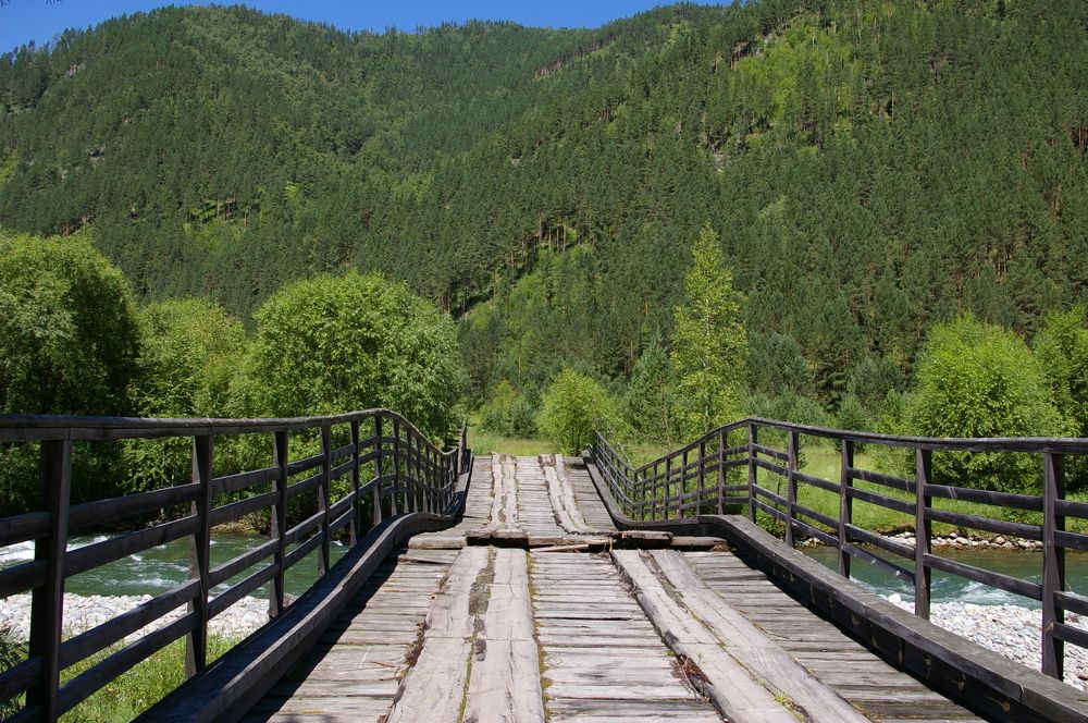 Photograph by Елена Алешкевич