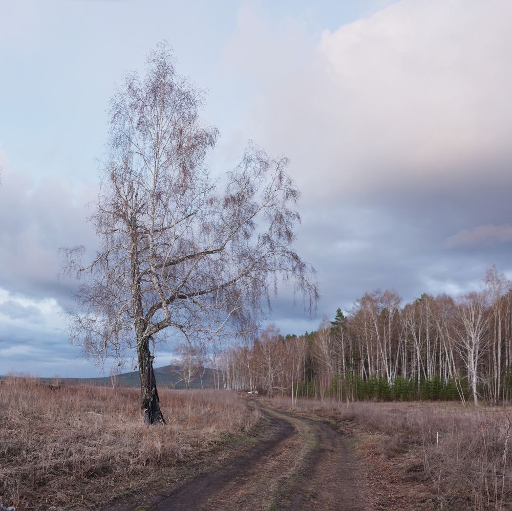 Фотография автора Логвинович Андрей