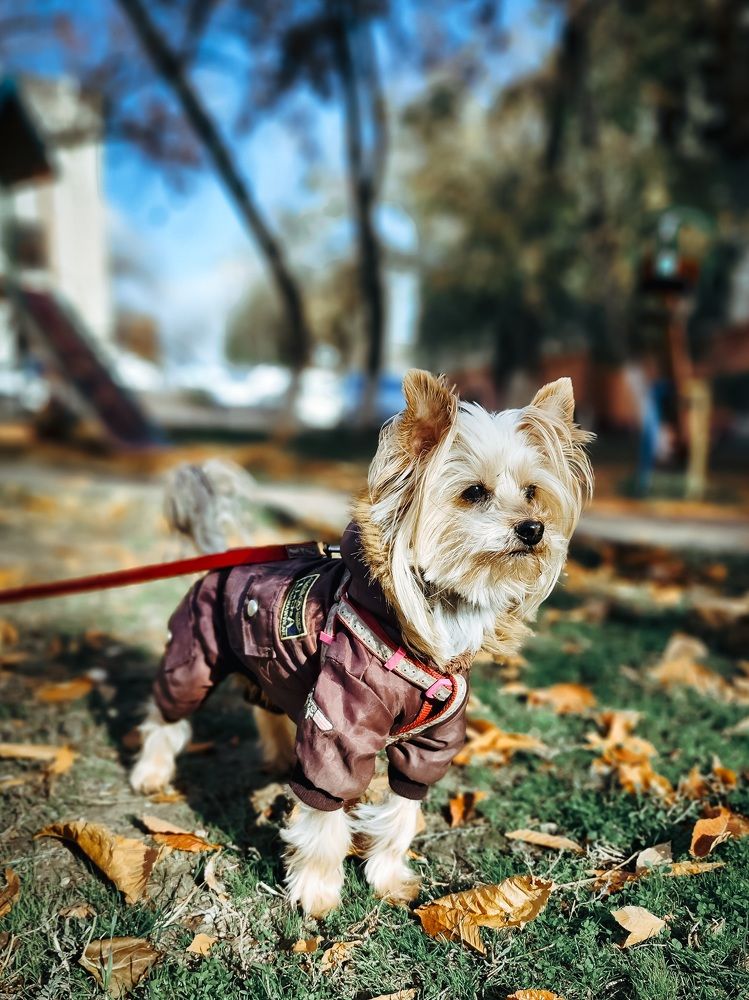 Photograph by Вероника Мухамедиева