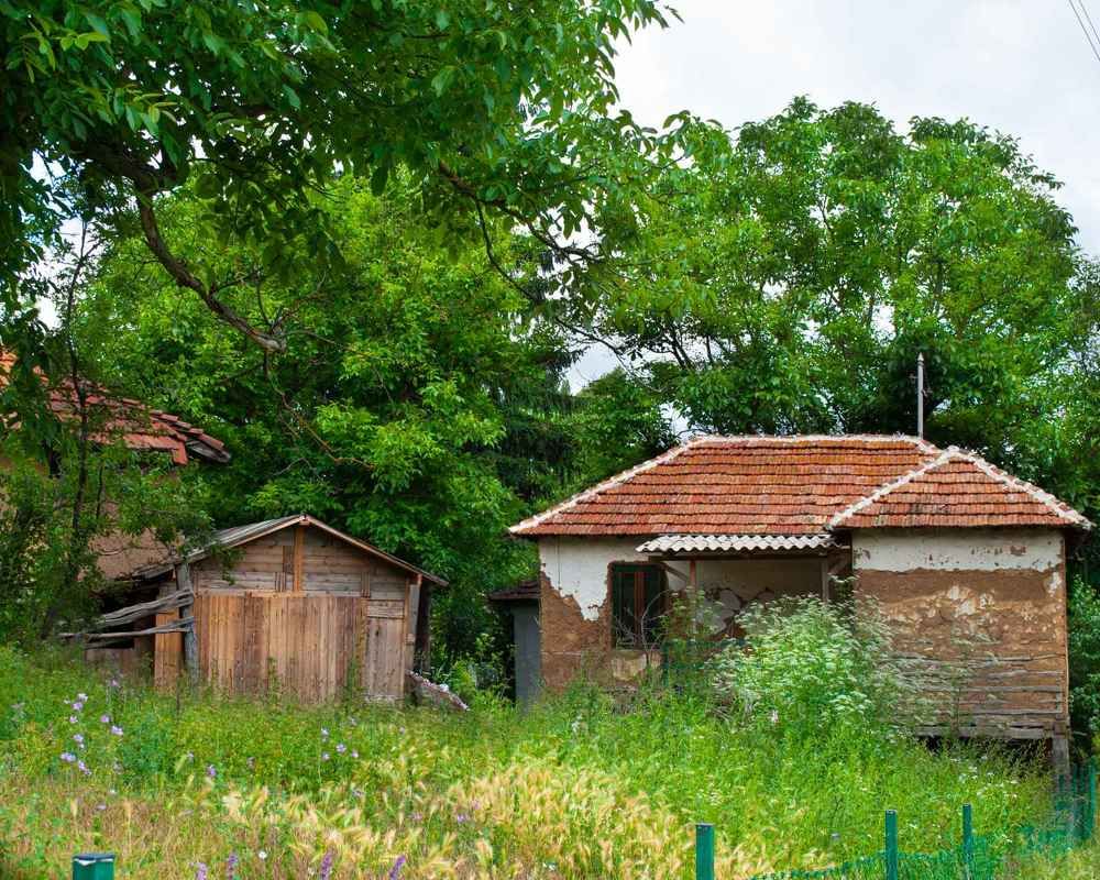 Photograph by Isidora Nikolić