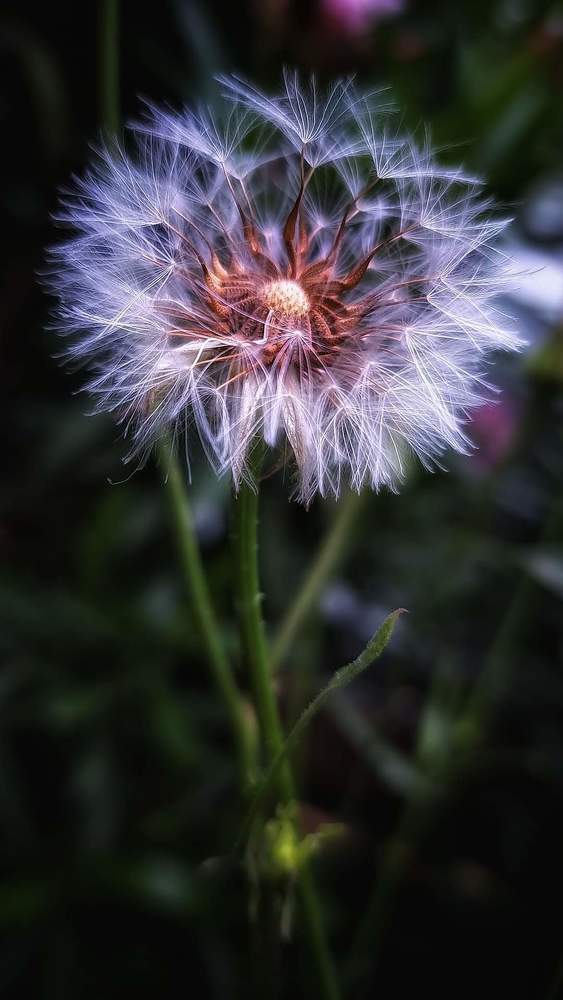 Photograph by Polina Svirida