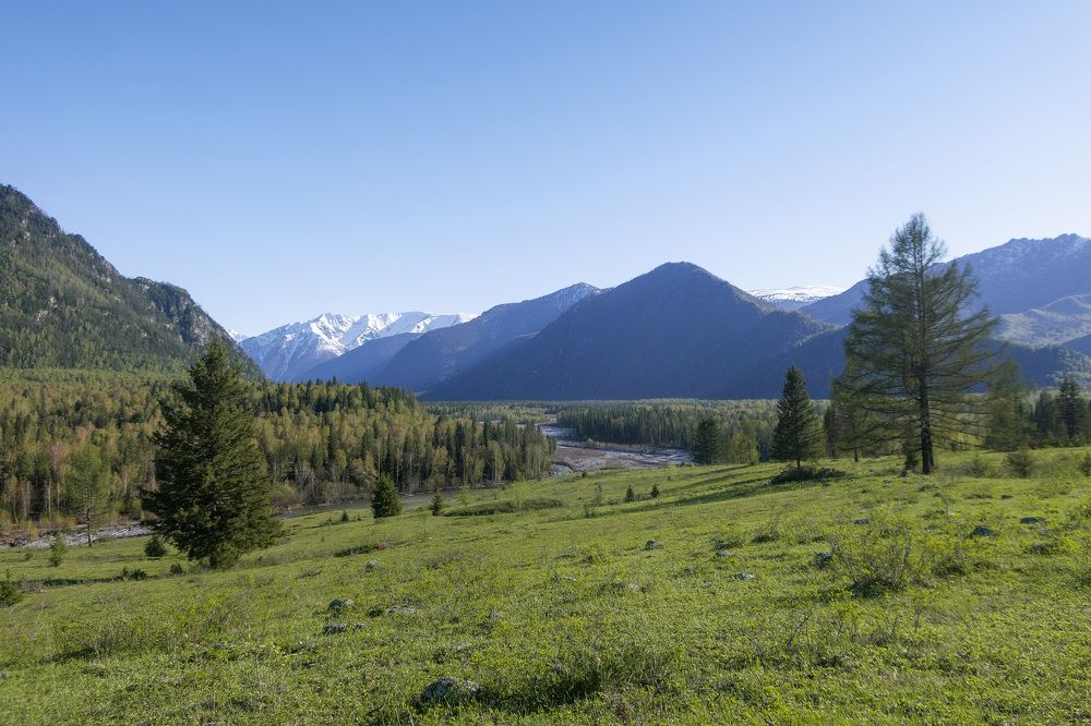 Берег реки Катунь
