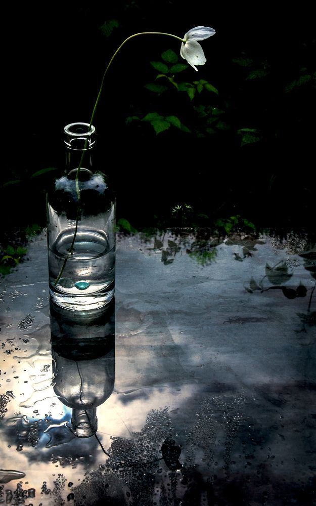 Photograph by Вячеслав Лычков