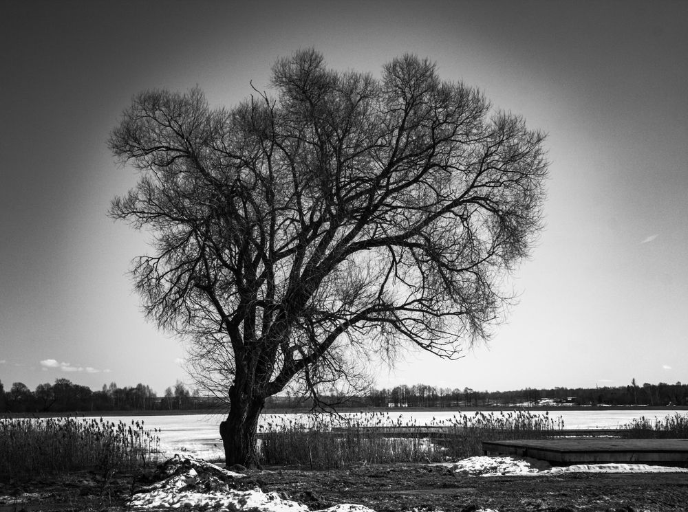 Photograph by Сергей Слукин