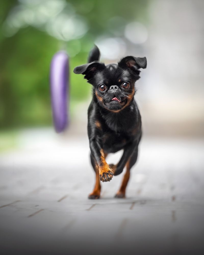 Photograph by Наталья Орел