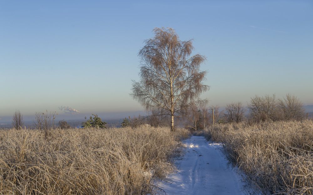Photograph by Цветков Сергей