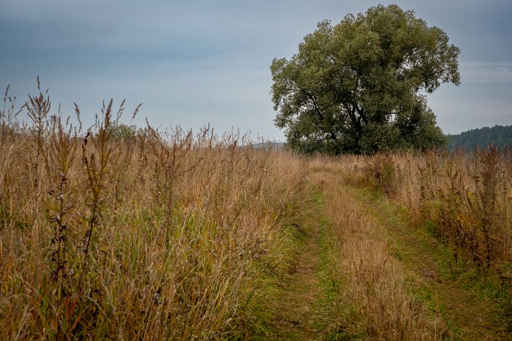 Фотография автора 