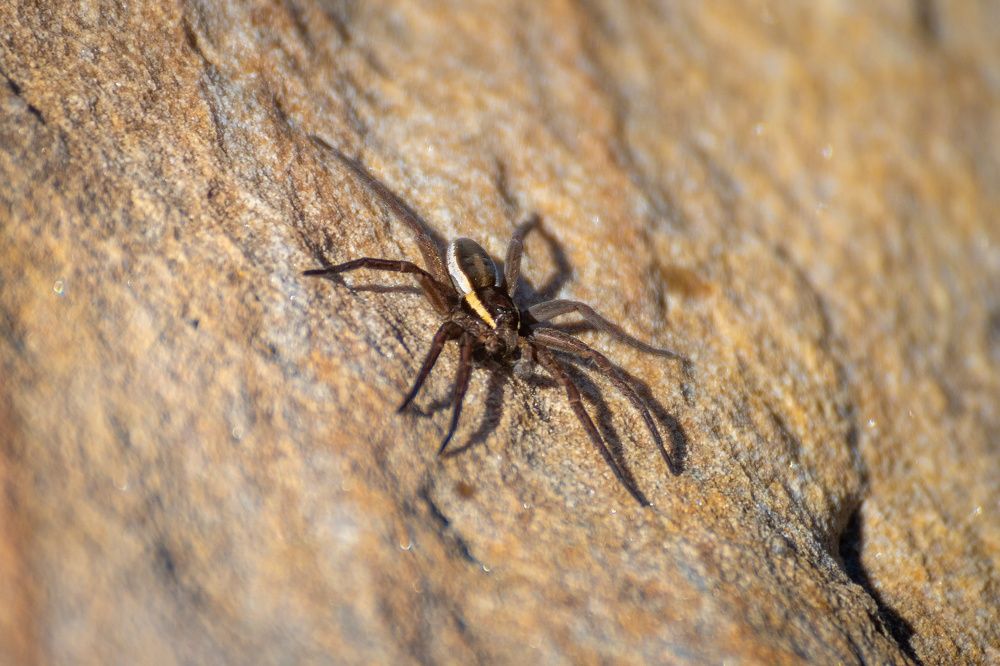 Photograph by Старцев Андрей