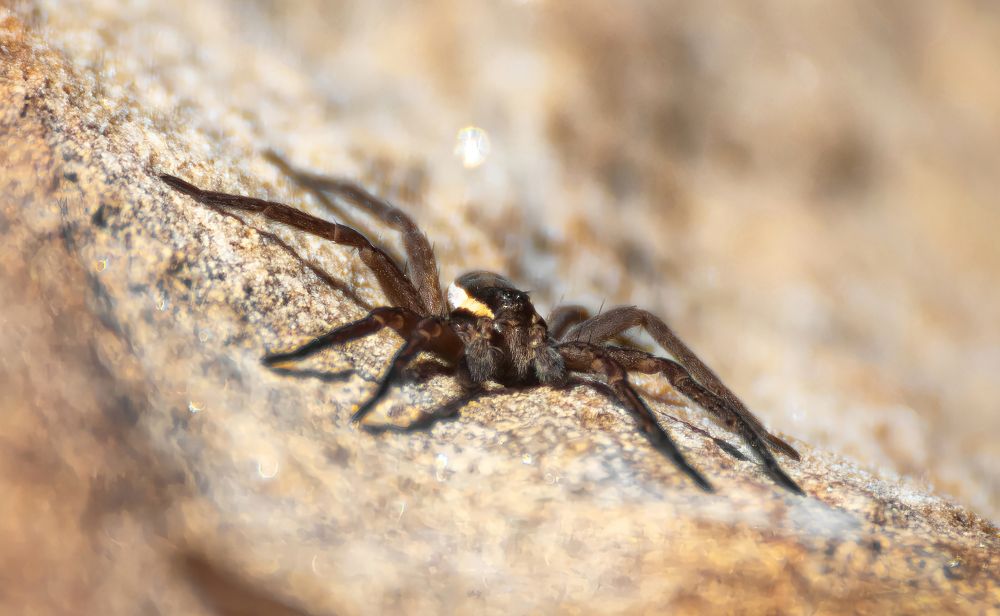 Photograph by Старцев Андрей