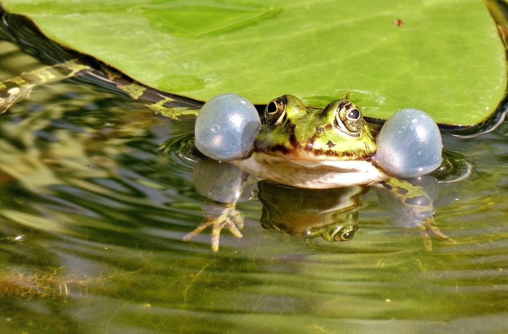 Photograph by backareva irina