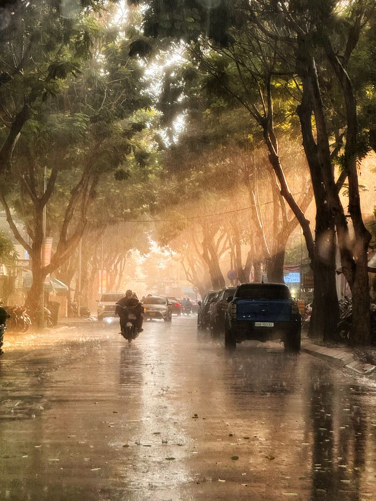 Rainy and sunny day!