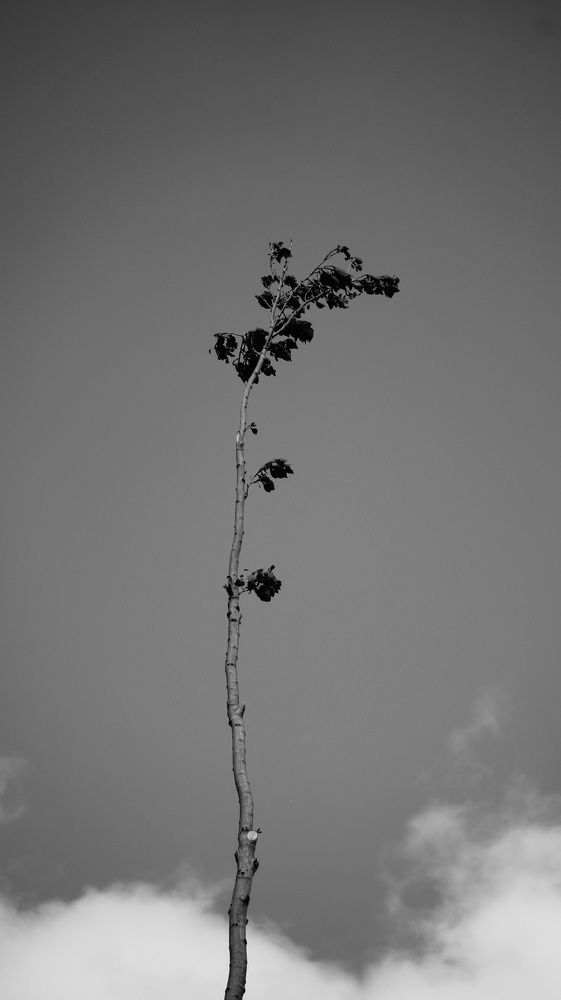 Photograph by Антон Викторович