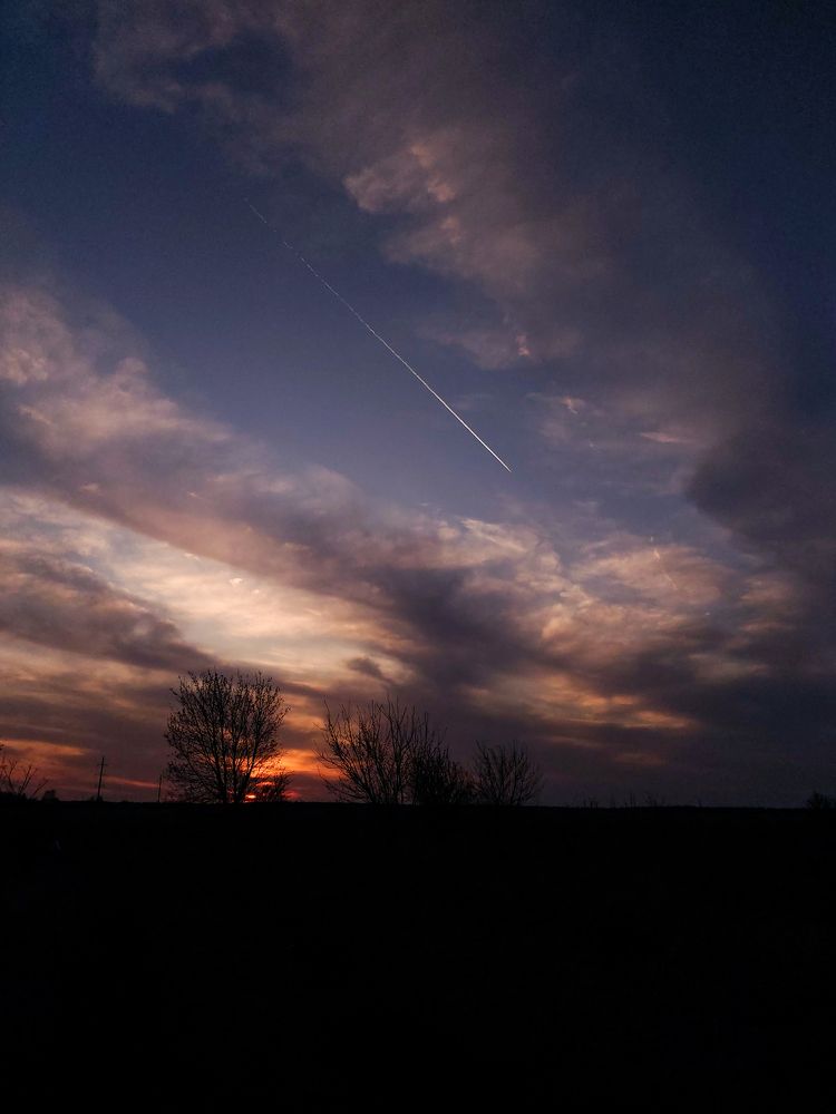 Фотография автора Софья Алексеева