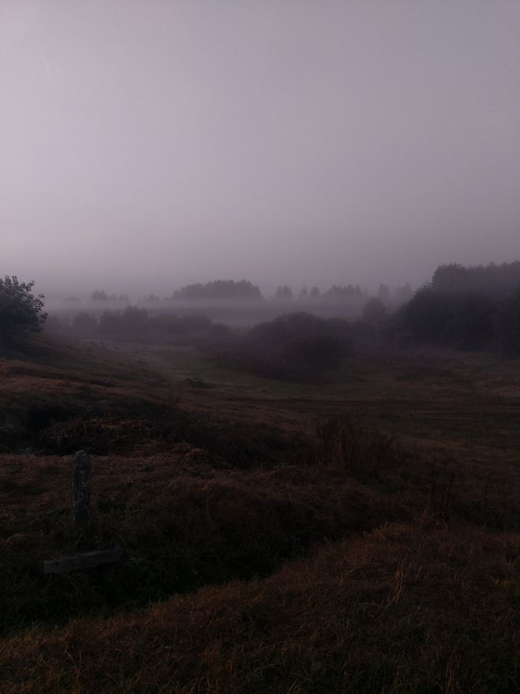 Фотография автора Софья Алексеева