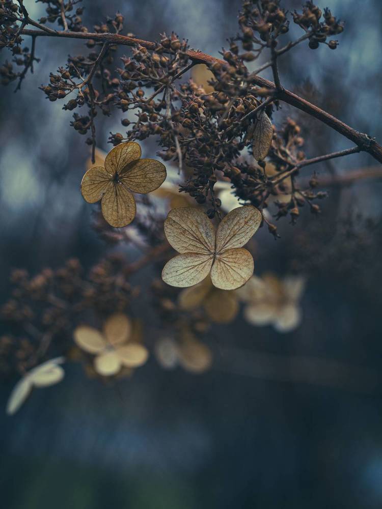 Photograph by Синицын Дмитрий