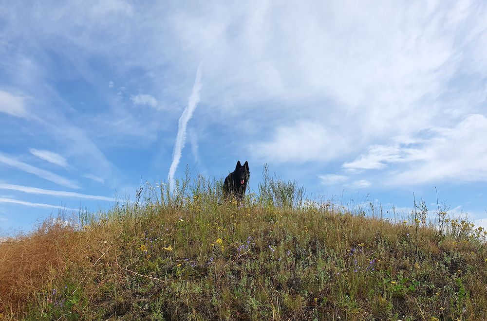 Фотография автора Надежда Лисицына
