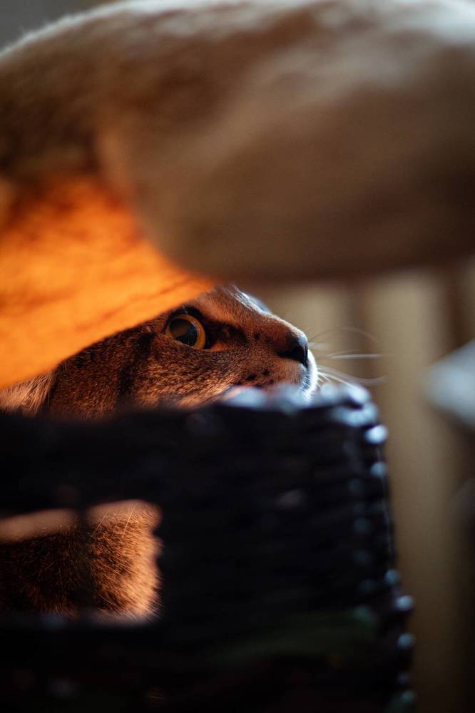 Photograph by Синицын Дмитрий