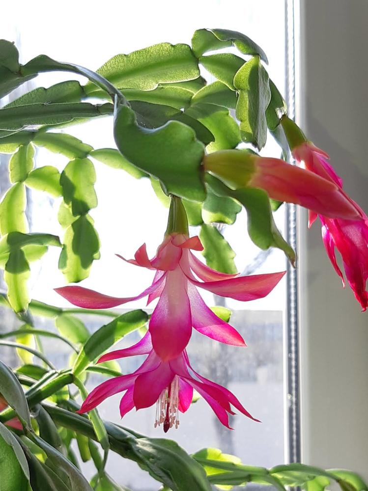 Photograph by Дмитрий Жуков