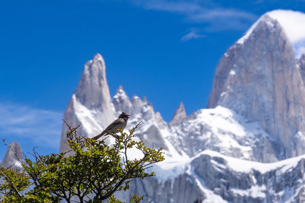 Photograph by Игорь Стретьячук