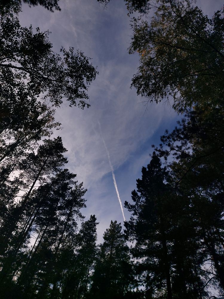 Фотография автора Софья Алексеева