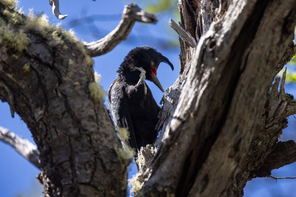 Photograph by Игорь Стретьячук