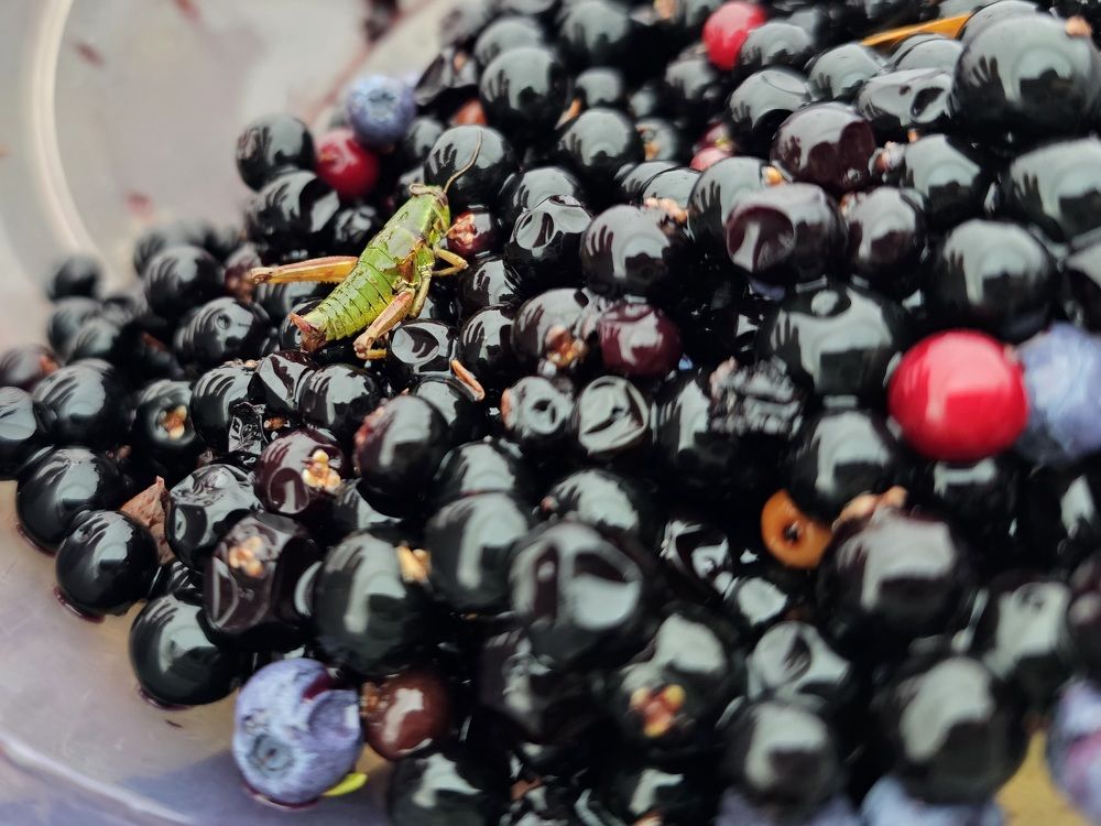 Photograph by Артем Севастьянов