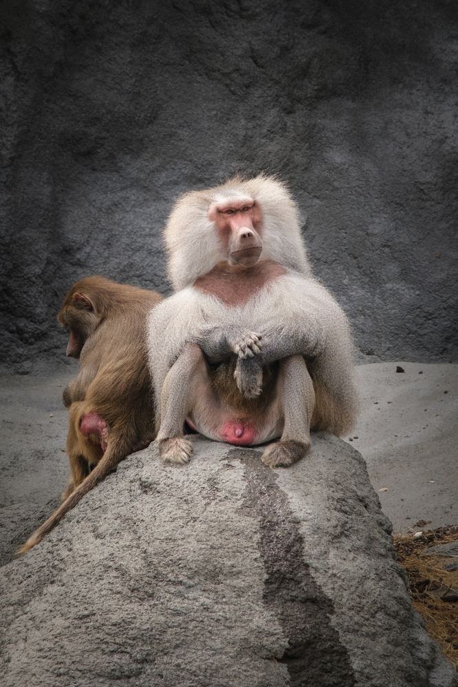 Photograph by Maxim Lipchenko