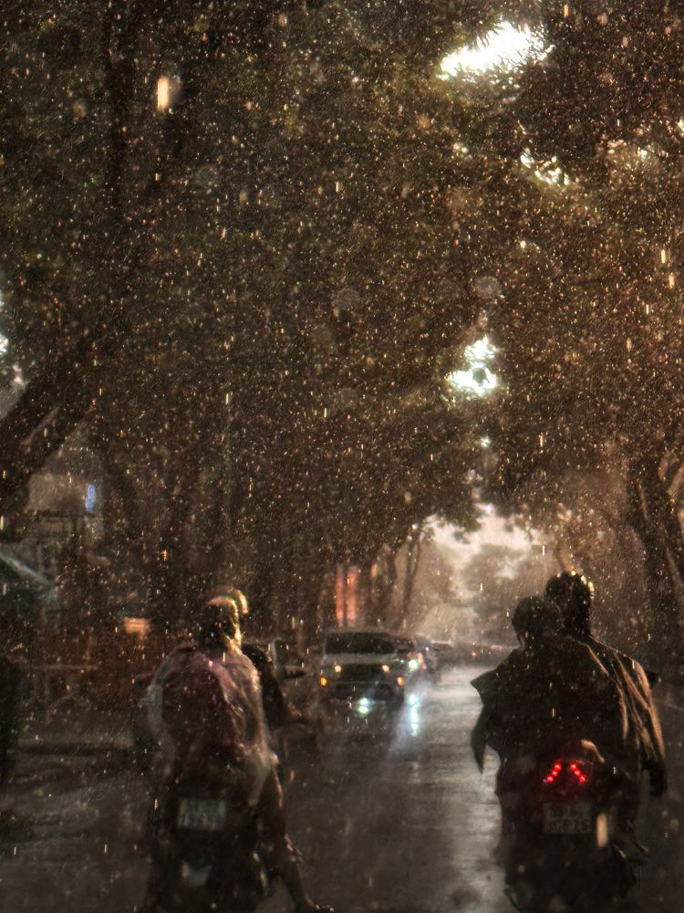 Photograph by Bỉnh Khiêm Nguyễn