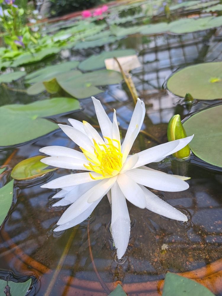 Photograph by Станислав Кудрицких