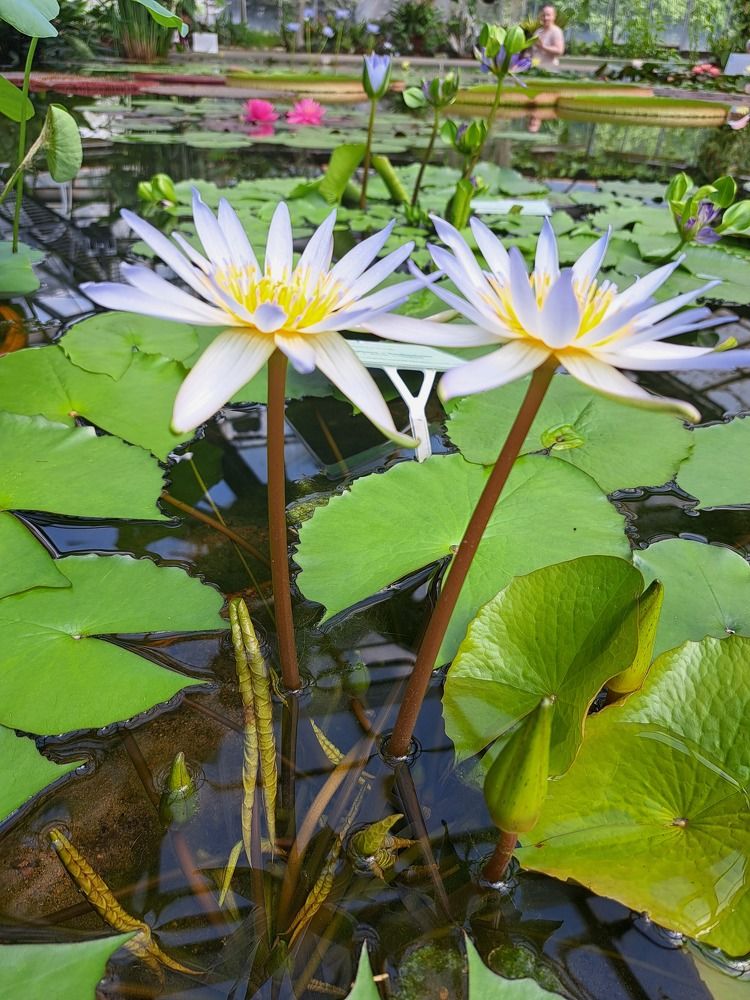 Photograph by Станислав Кудрицких