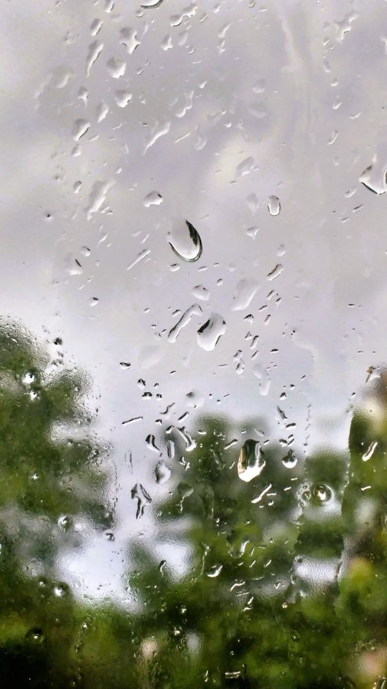 Фантазия дождя