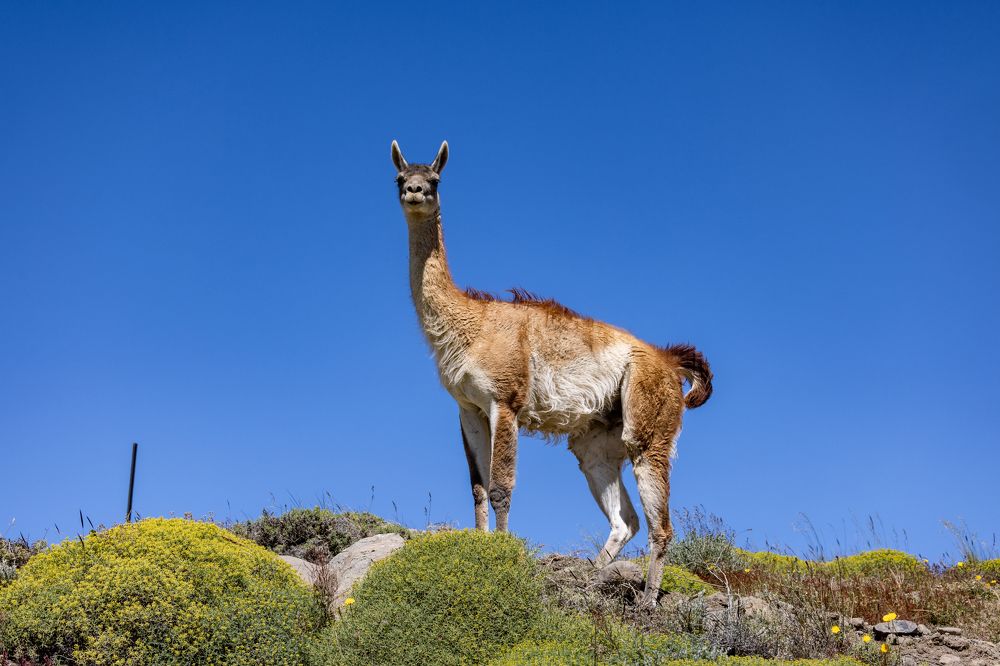 Photograph by Игорь Стретьячук