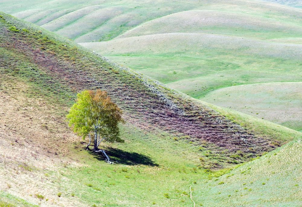Фотография автора Сергей Сынтин