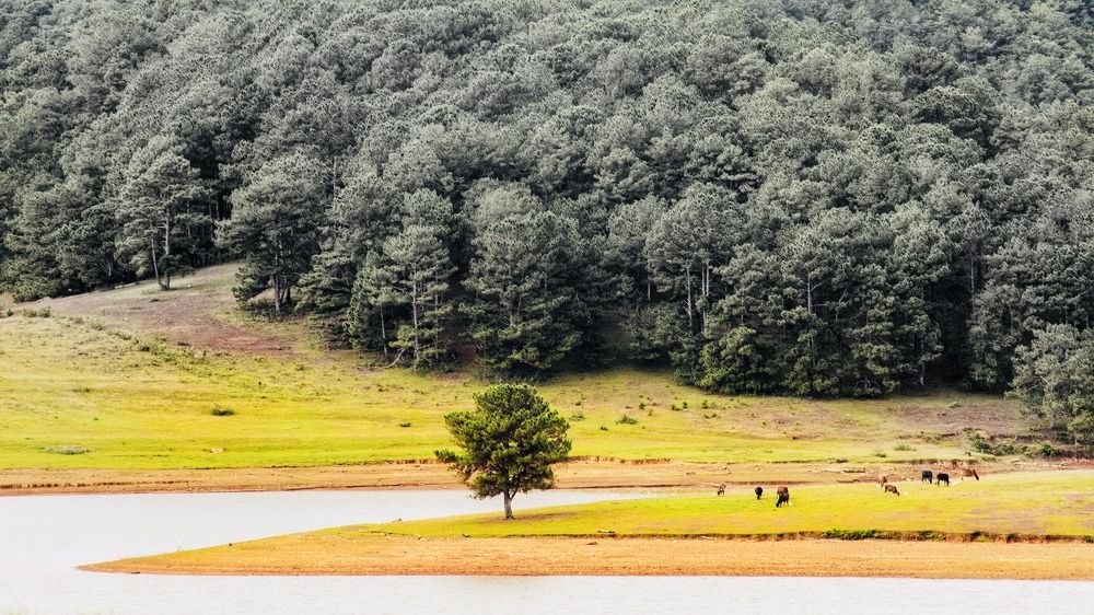 Photograph by Binh Khiem Nguyen