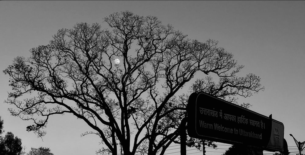 Photograph by Shivam Singh