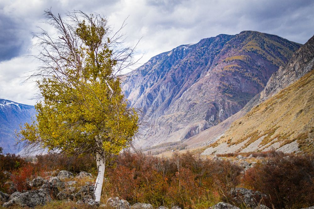 Photograph by Pavel Gukov