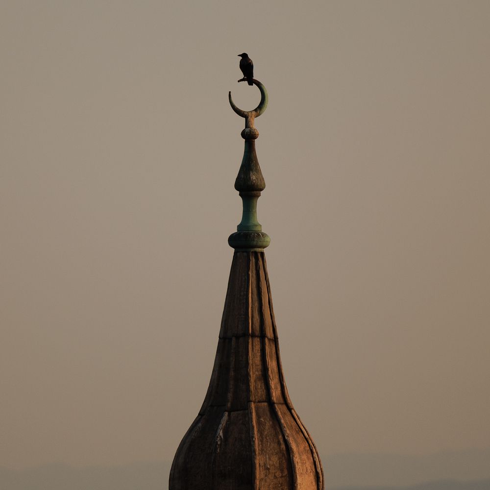 Photograph by Maxim Lipchenko