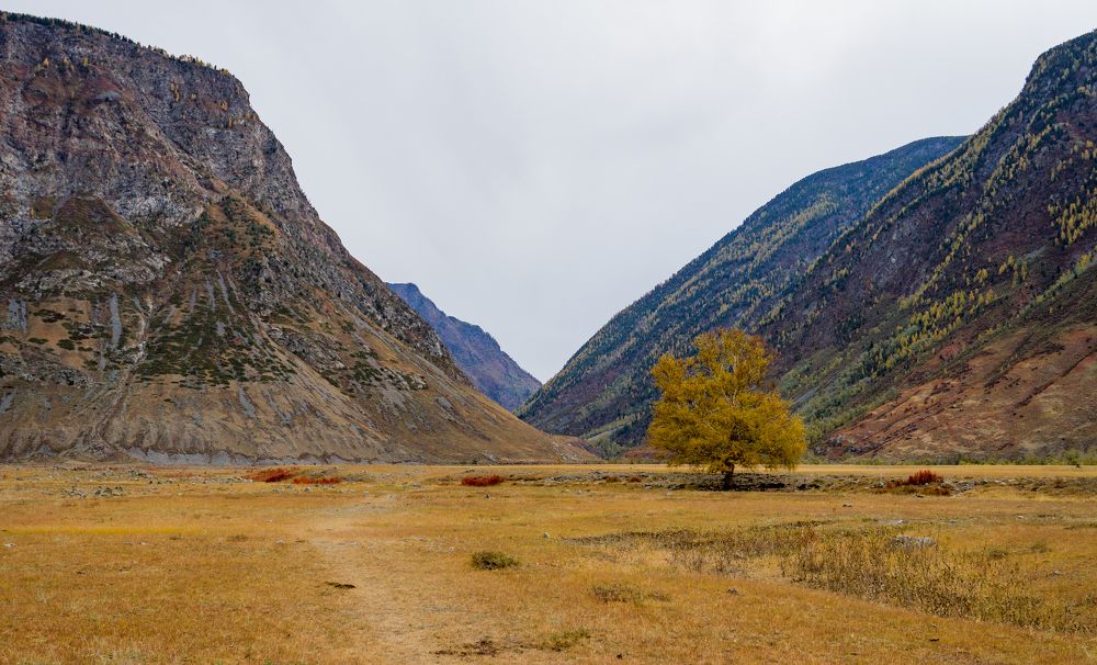 Photograph by Pavel Gukov