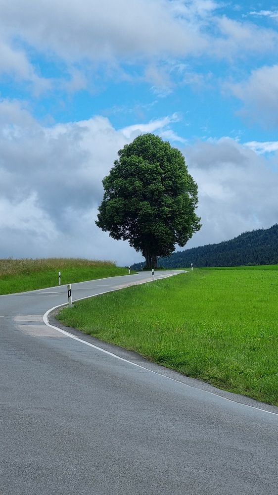 Photograph by Светлана