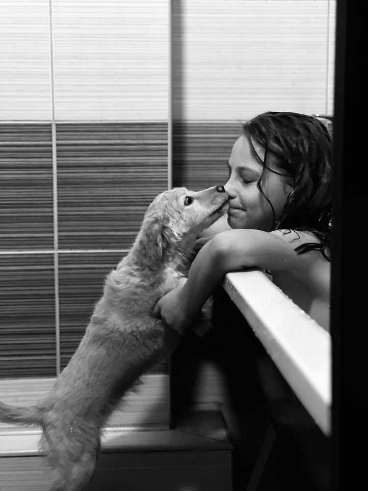 The story of one love