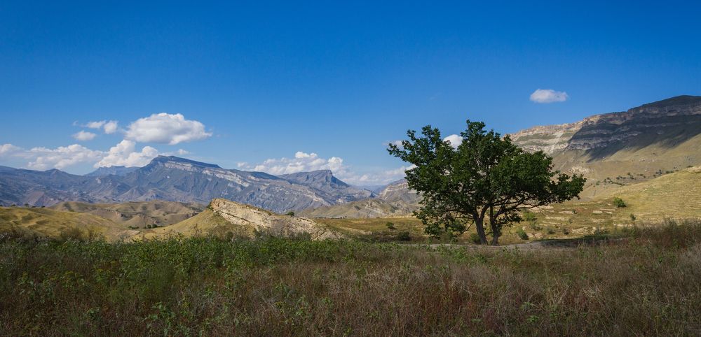 Photograph by Pavel Gukov