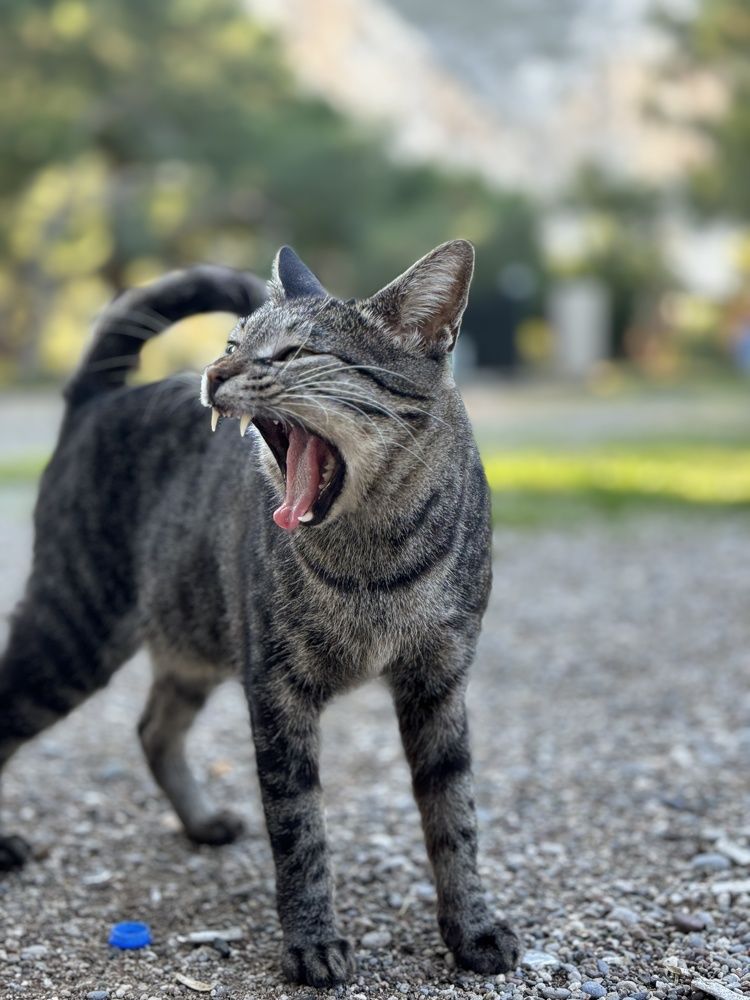 Photograph by Тишков Сергей