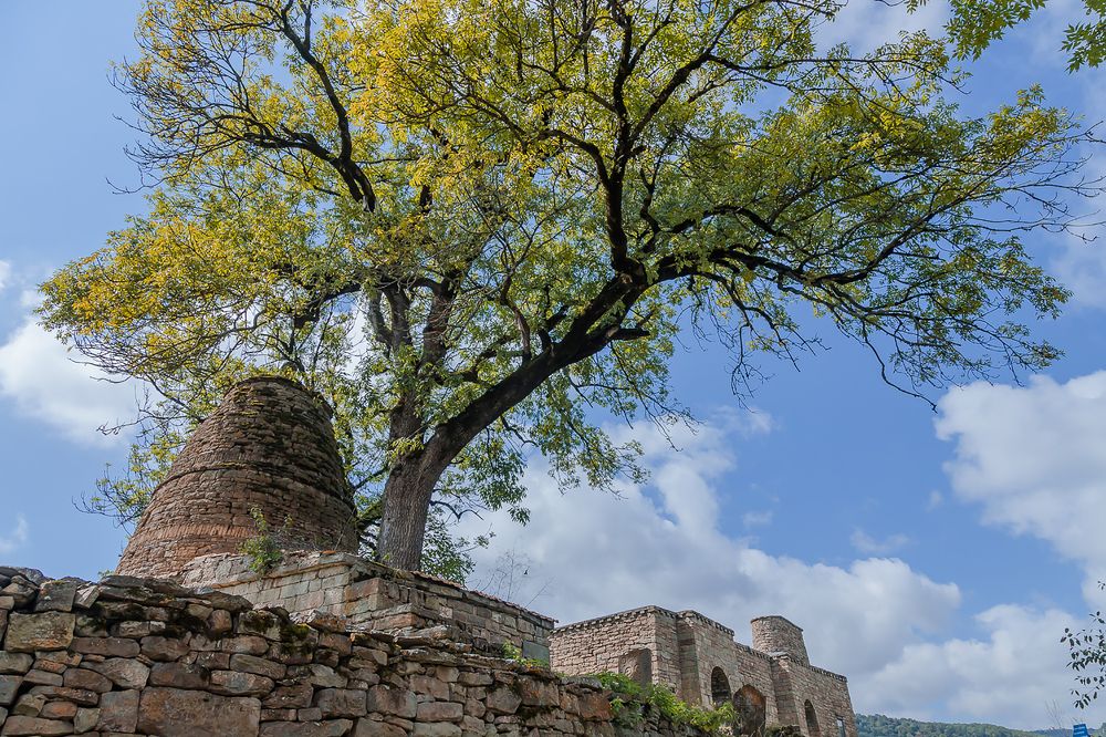 Photograph by Людмила Сливкина