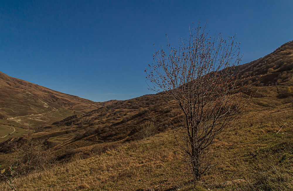 Photograph by Людмила Сливкина