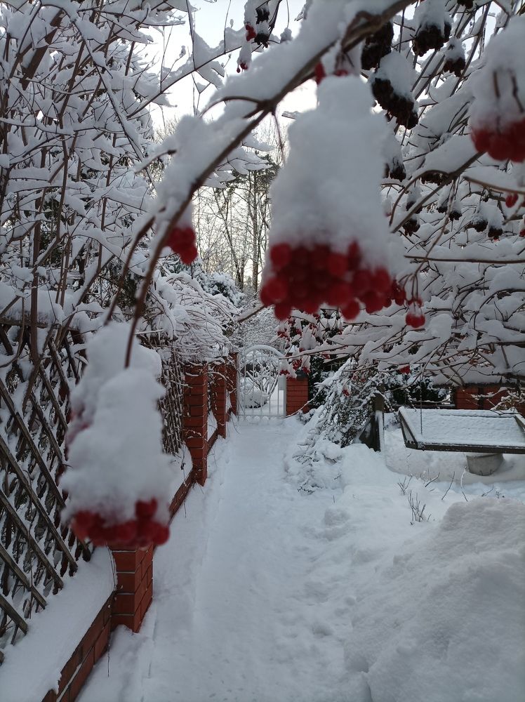 Photograph by Марина